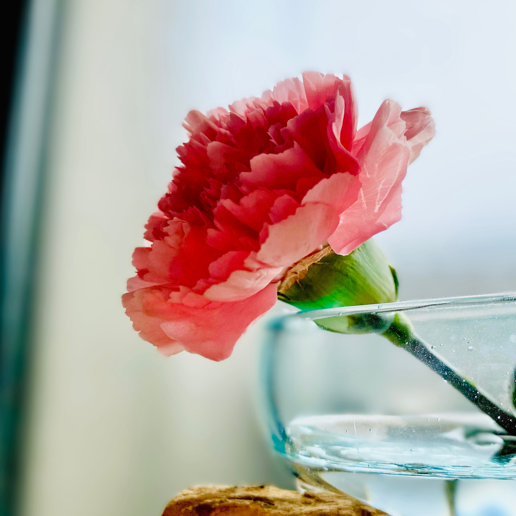 ピンクさんとこの秋の予定