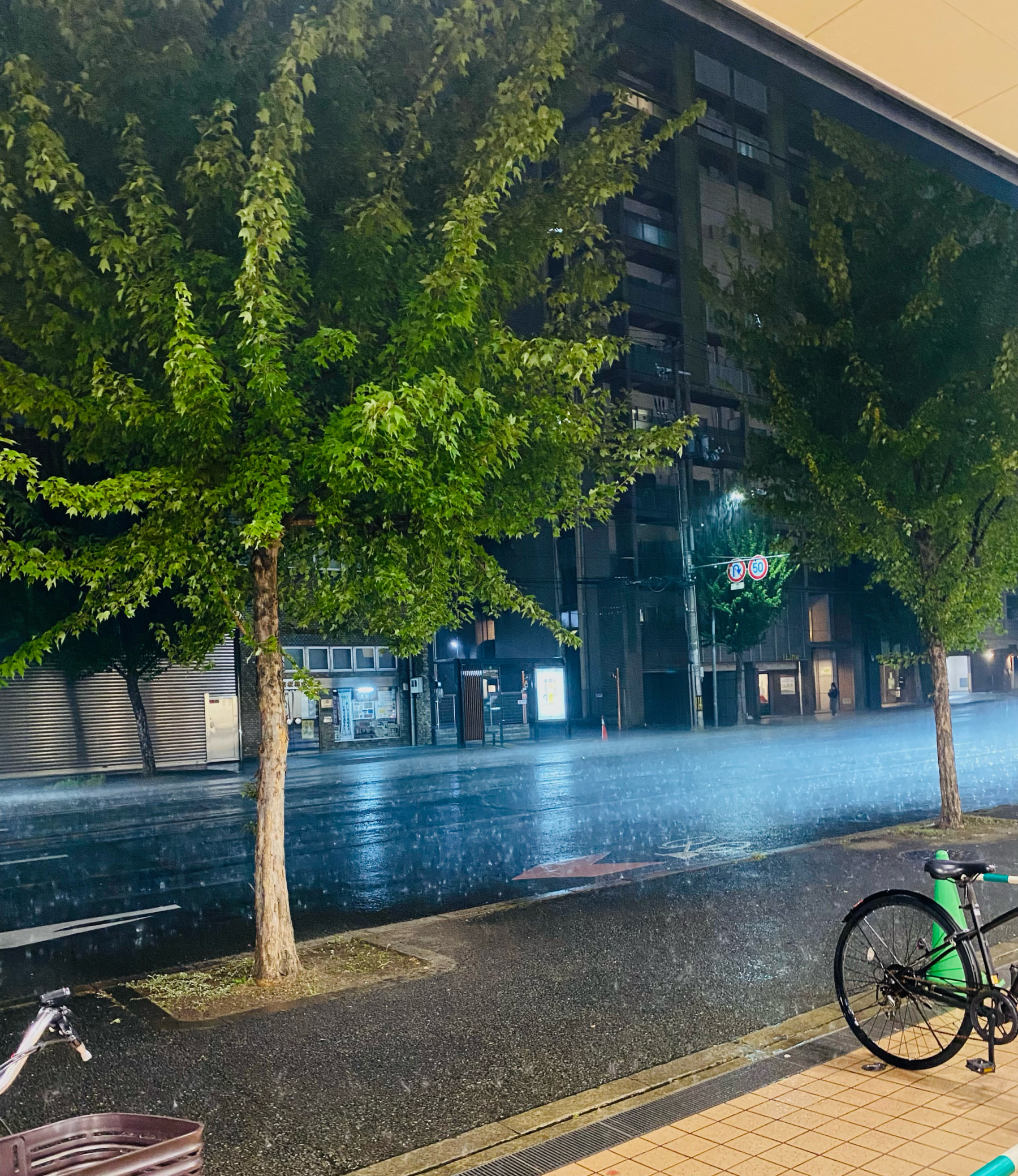 急な豪雨！でもセーフ！