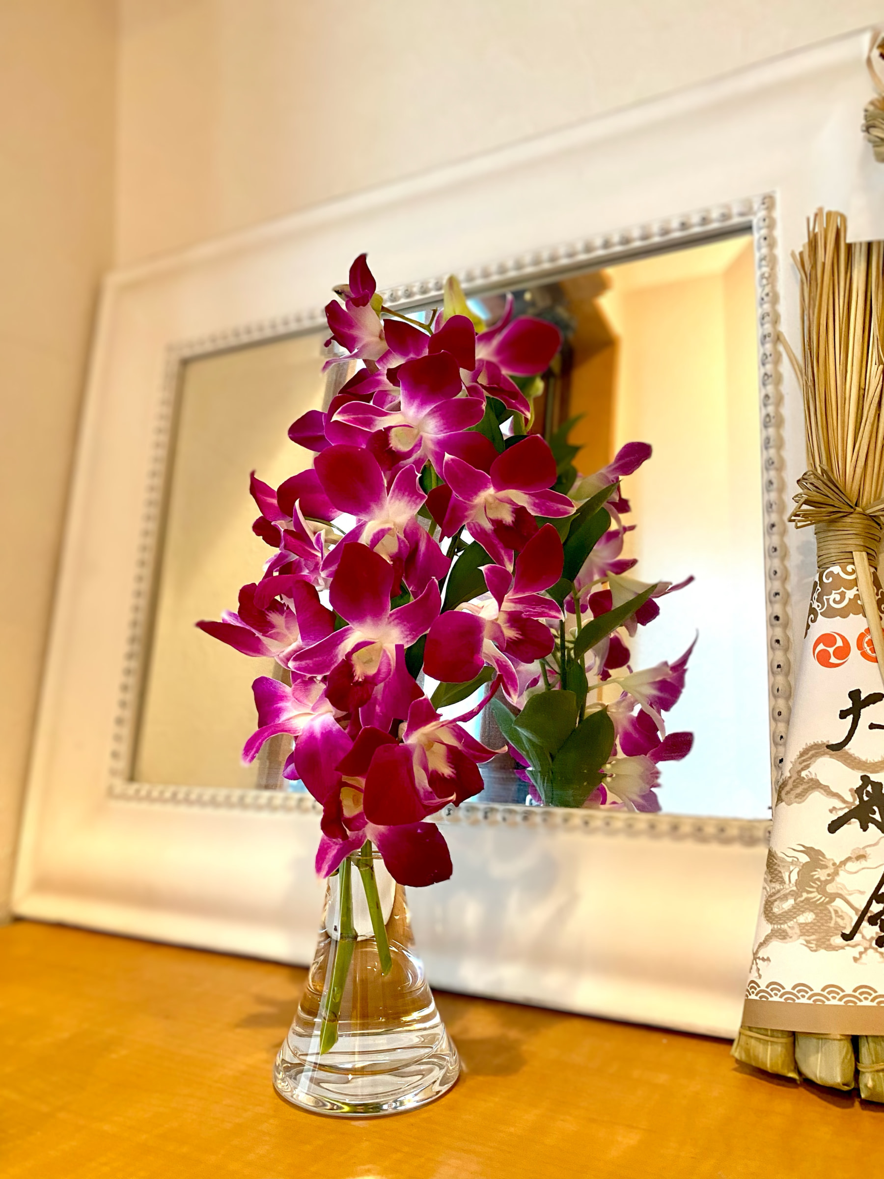 デンファレと本日のレッスン デンファレと本日のレッスン