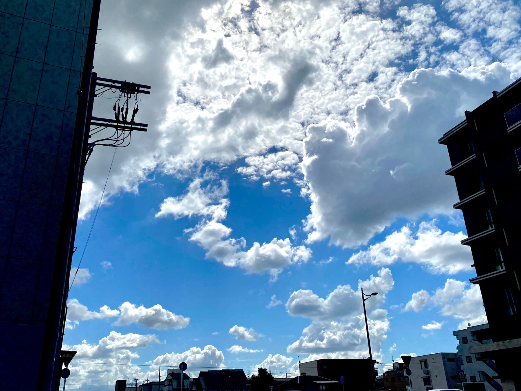 ドンピシャのマル