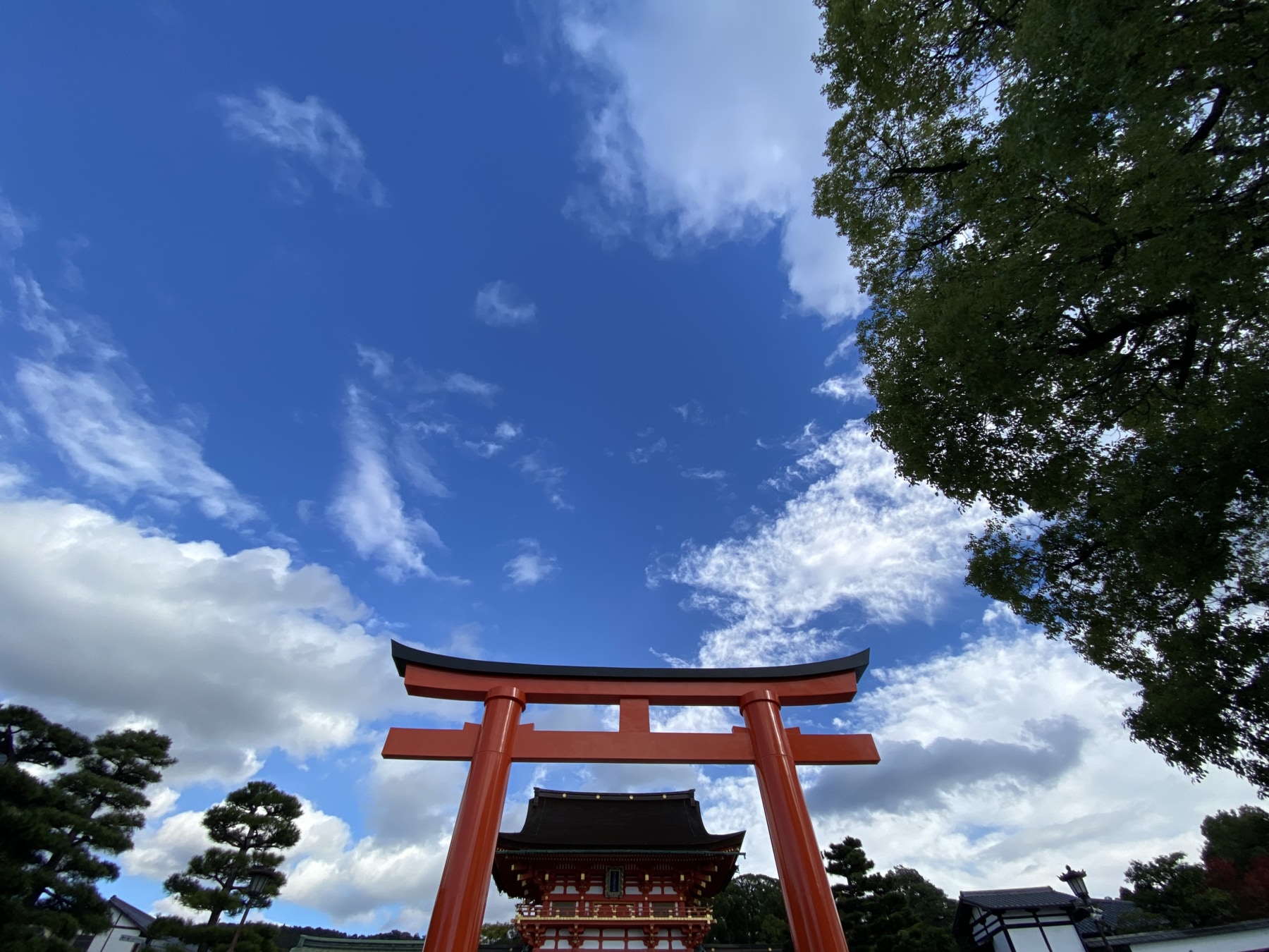 急遽 伏見稲荷大社へ