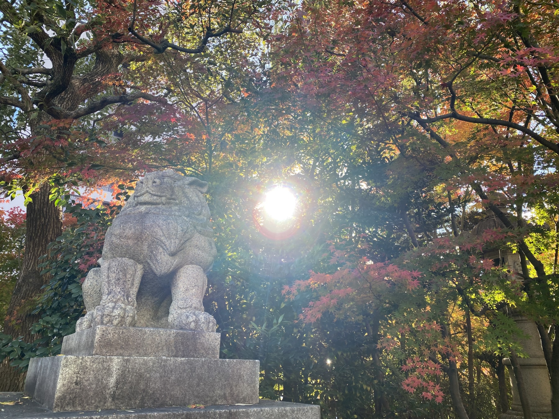 合気道昇級試験と脳内の変化