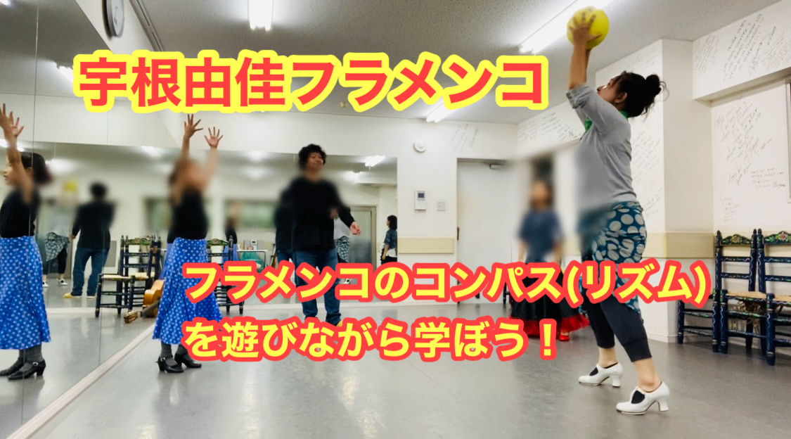 【動画】コンパスとマントンの勉強　そして閃き
