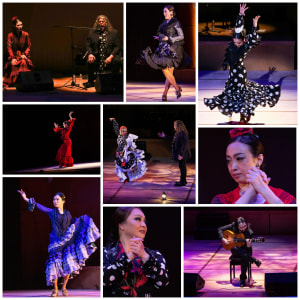ついに配信開始！「Esencia Flamenca 〜フラメンコの真髄〜」早速大好評受付中！！