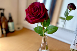 逞しい花